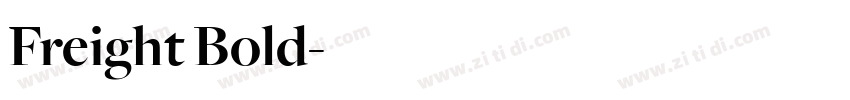 Freight Bold字体转换